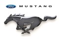 Mustang Mustang