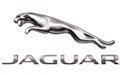 Jaguar Jaguar