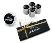 Подарочный набор Ягуар set.cap+nom.jaguar