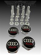Болты Ауди крепления на гос. номер (набор), шестигр. NOM.Scr.Audi